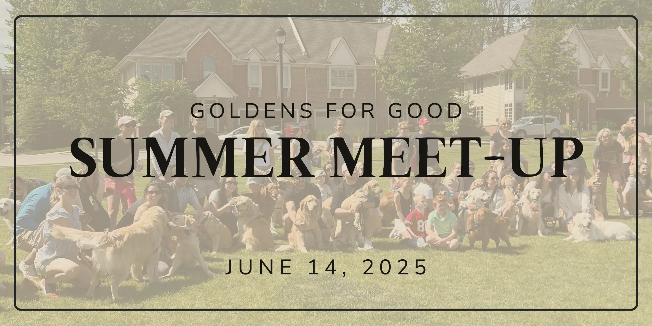 golden retriever meet-up
