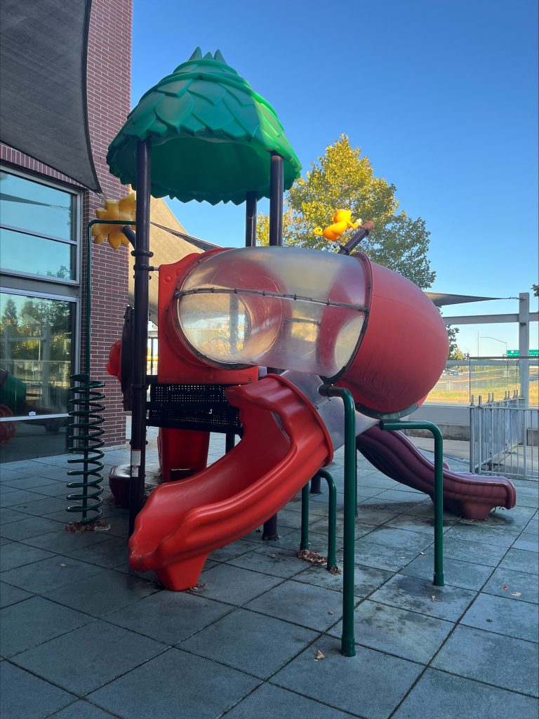 outdoor-jungle-gym-rancho-cordova-pediatric-dentist-kids-care-dental-orthodontics Outdoor playground at Kids Care Dental & Orthodontics in Rancho Cordova, CA