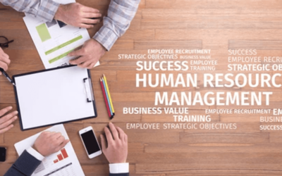 Why Should a Small Business Use a PEO