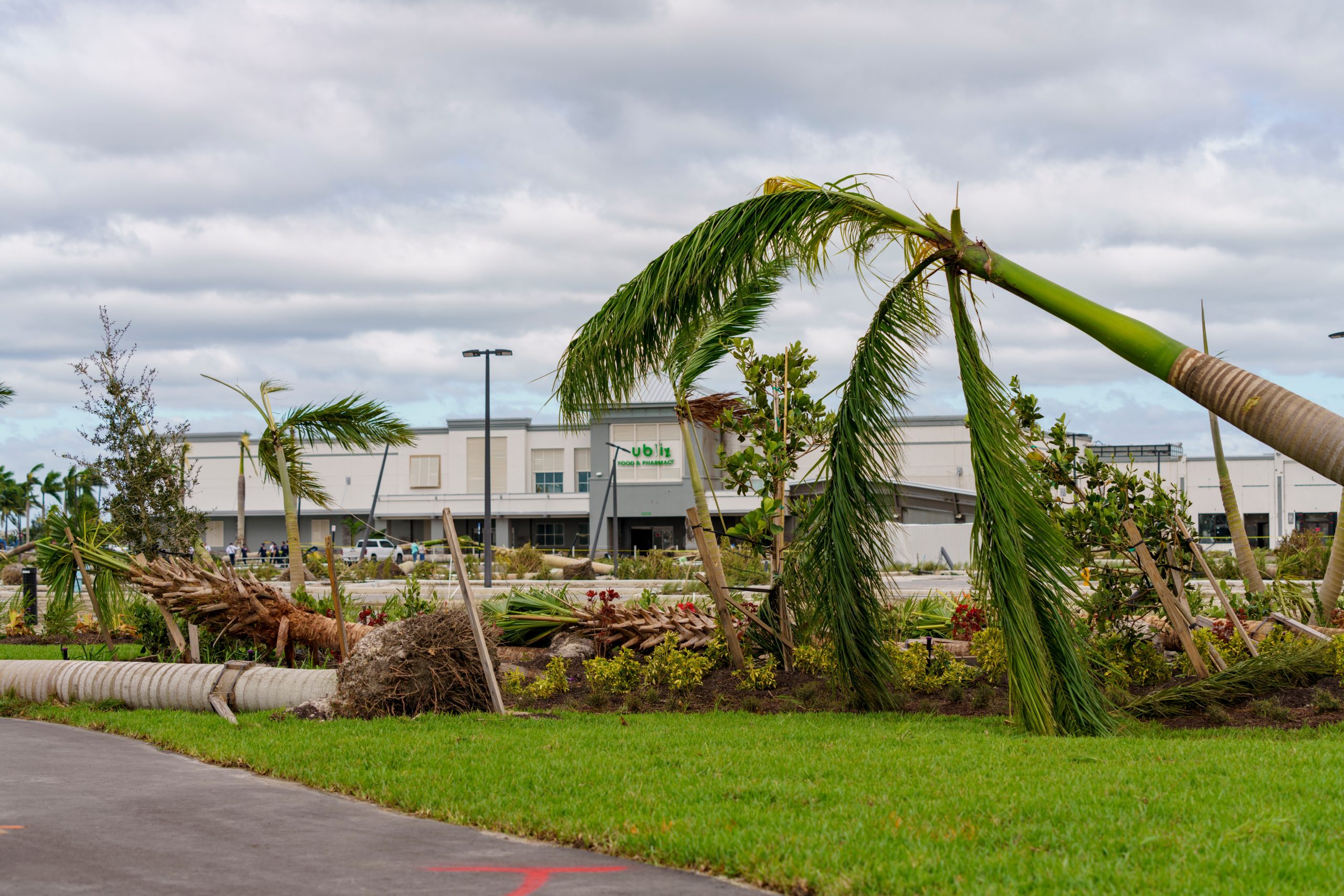Grocery Store After Hurricane